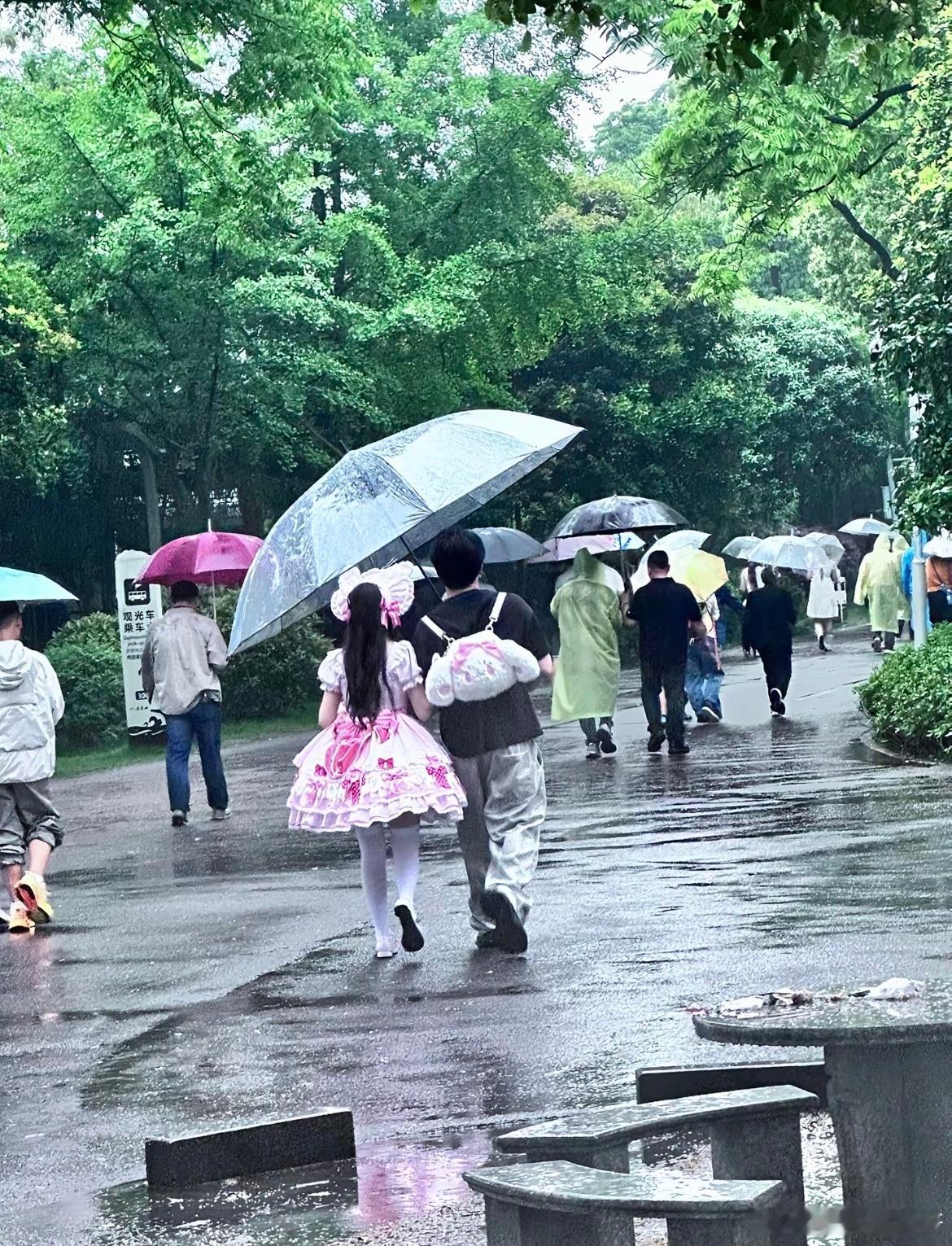 爱是一把倾斜的雷霆大伞 