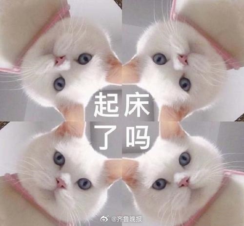 #早安# 生活就是这样，别人只看结果，自己独撑过程。 ​ ​​​