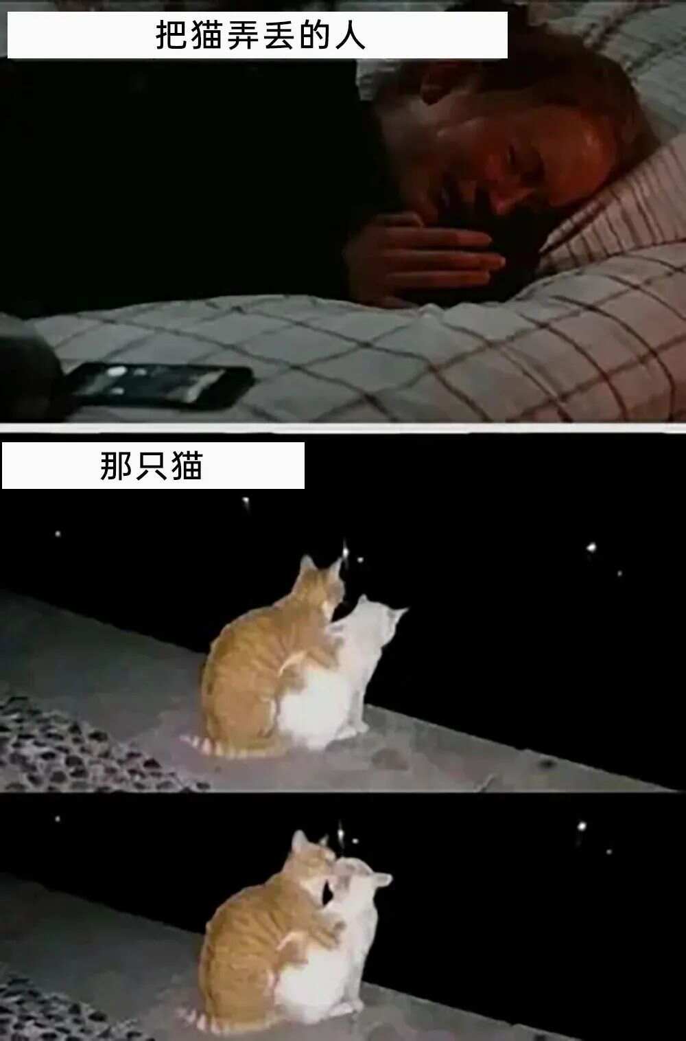 蚊子包是蚊子给你种下的草莓 