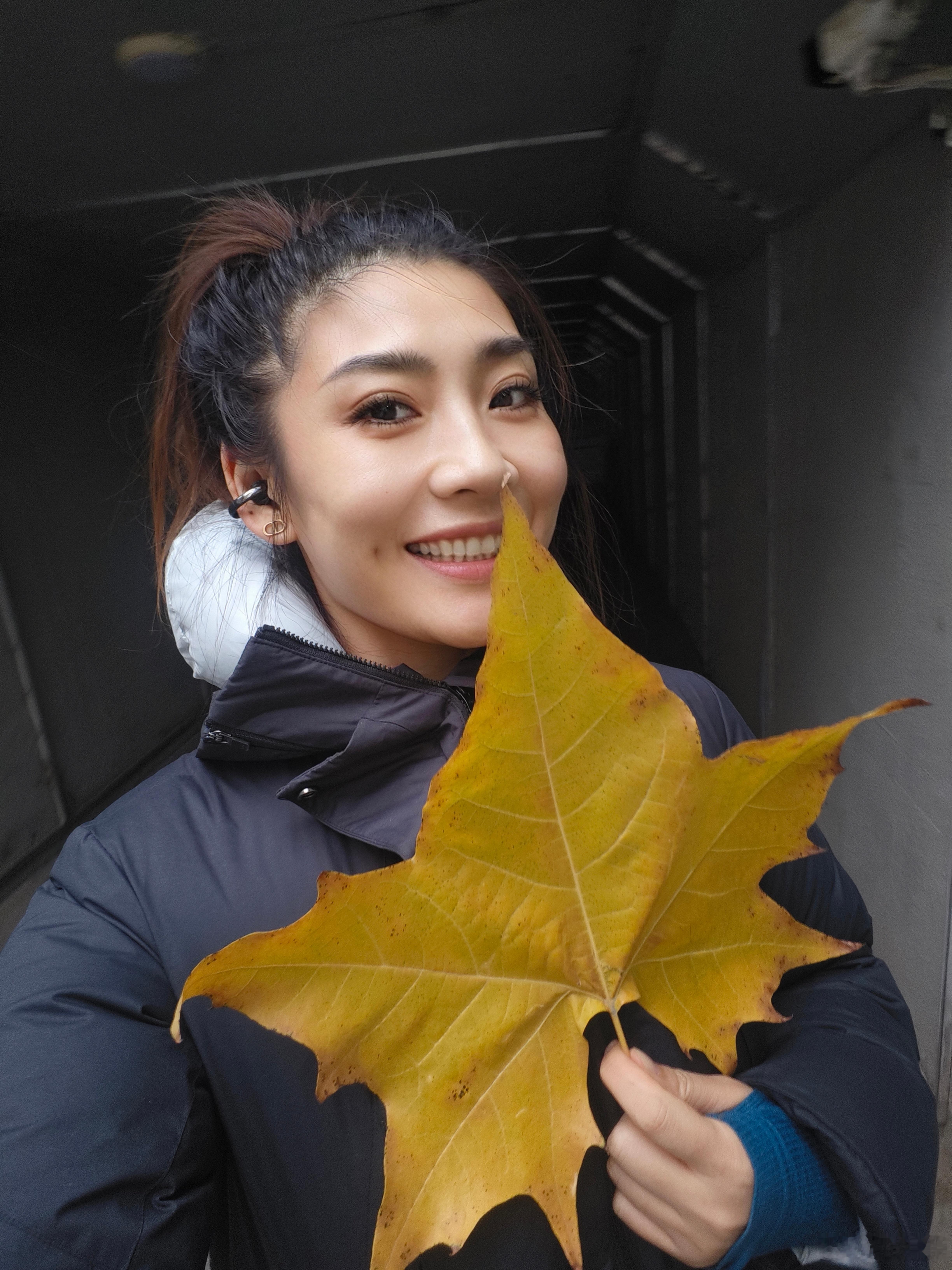 是连续上班的第十天，心情还行，就是不想拍照片。看到一片好大的梧桐叶，心情又好了不