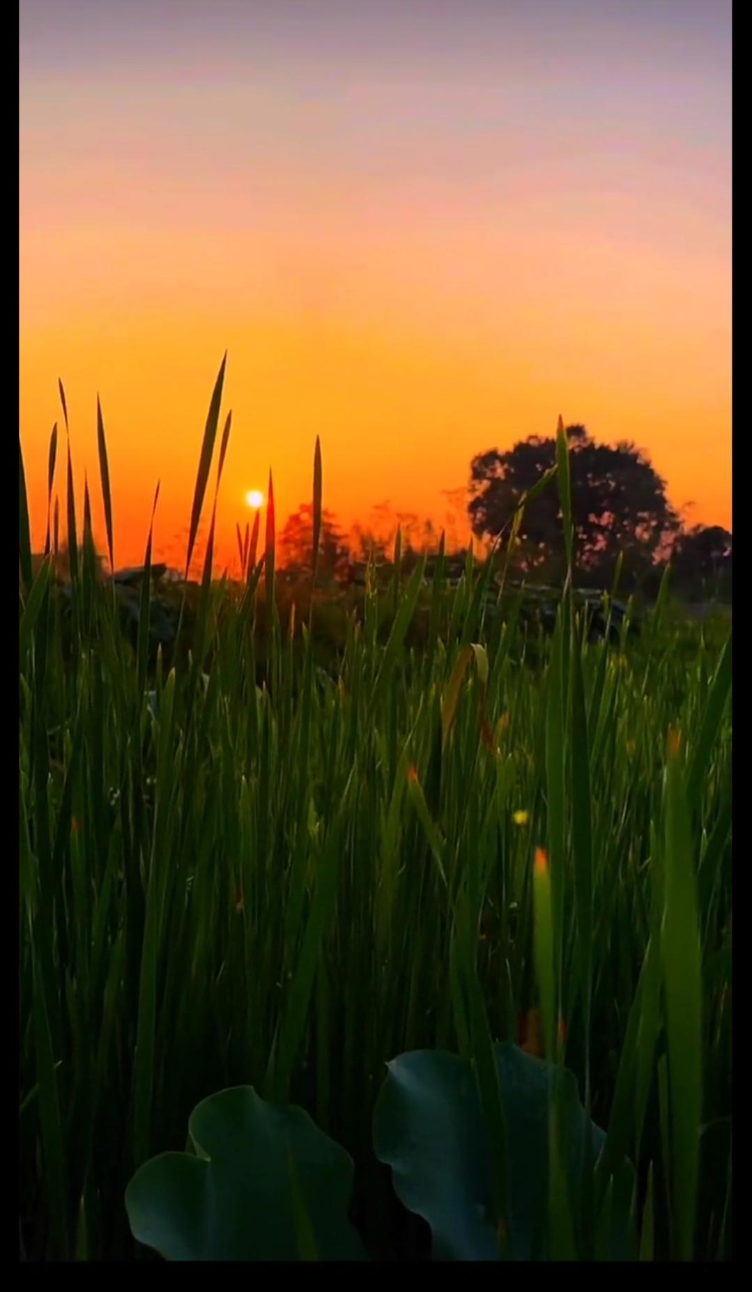 发张你手机里最美的夕阳照可以吗夕阳西下，落日的余晖逐渐落下，看到这美景让人恋恋不