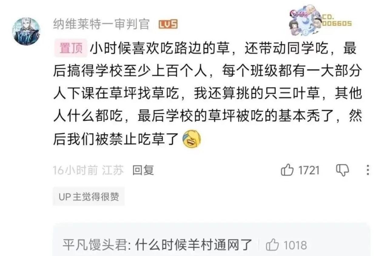 别看我只是一只羊