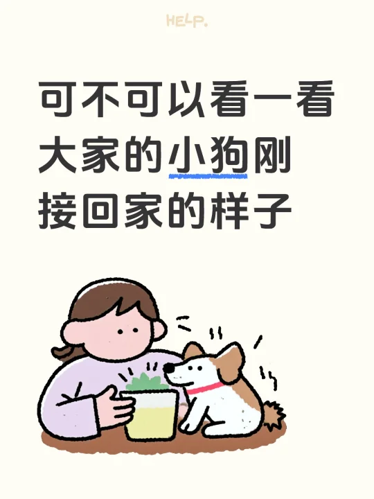 可不可以看一看大家的小狗刚接回家的样子