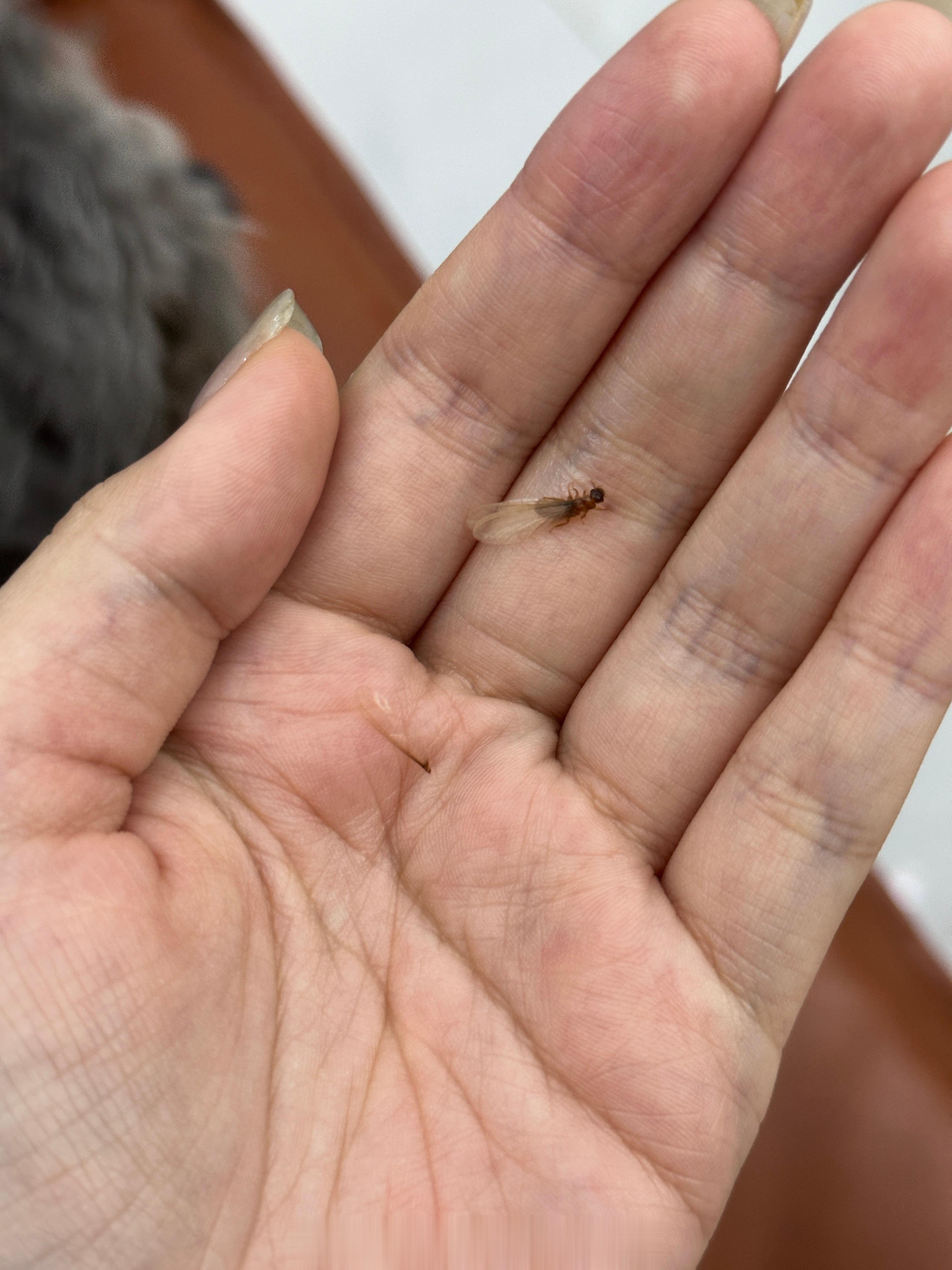 别惹姐卸了你翅膀 ​​​