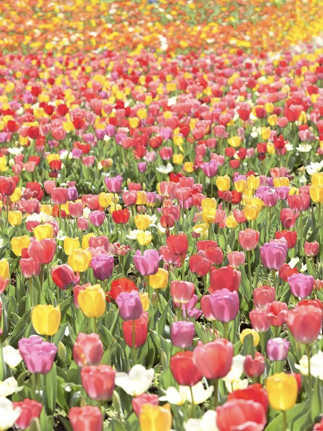 【感情里最不需要计较和解释，回归心底最简单的想法，才是最朴素的幸福；需要你不断解