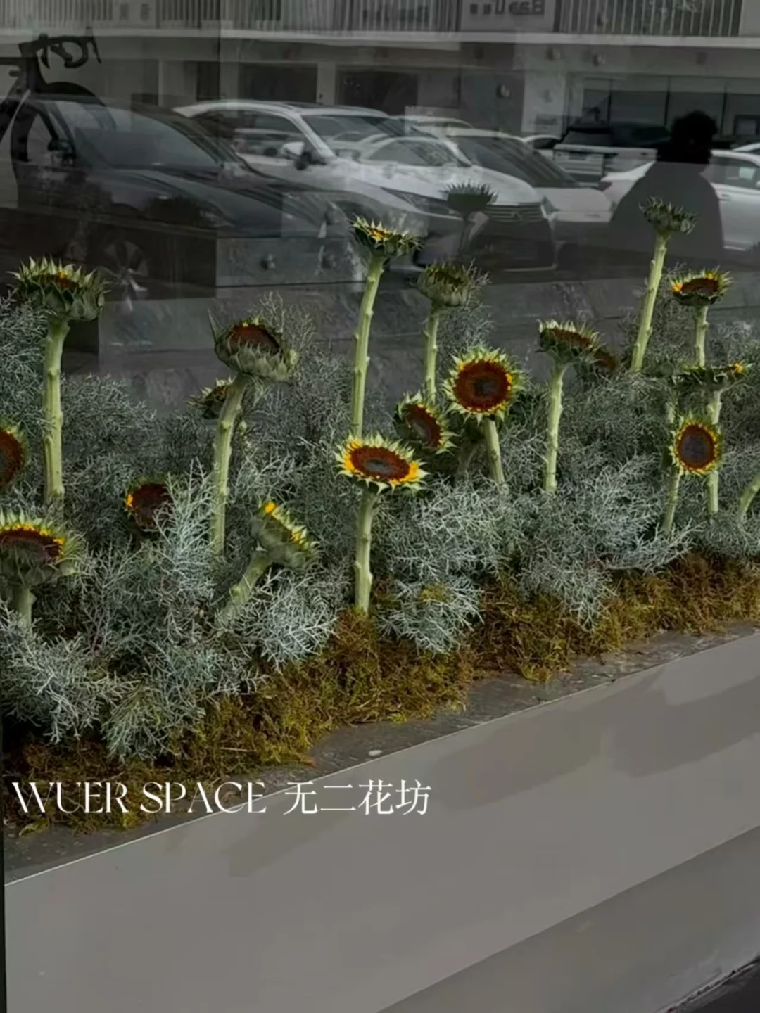 温州花店
