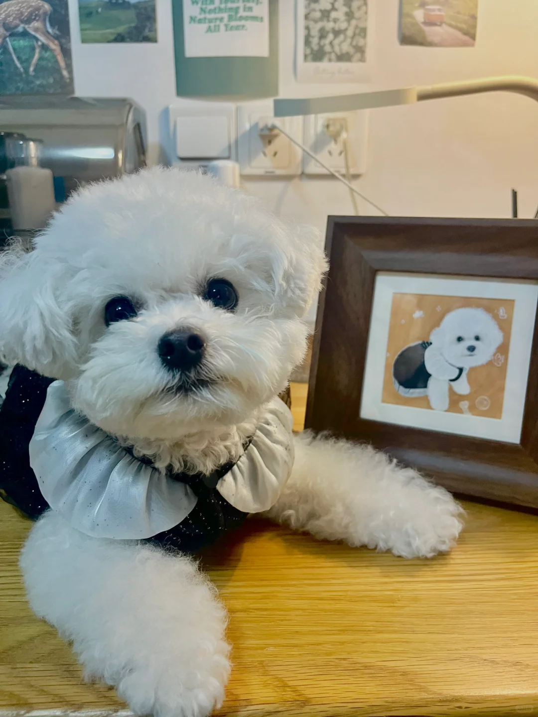 🐶我的第一张自画像