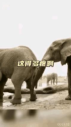 别人都是扎心，你这是反其道而行啊[泪奔]