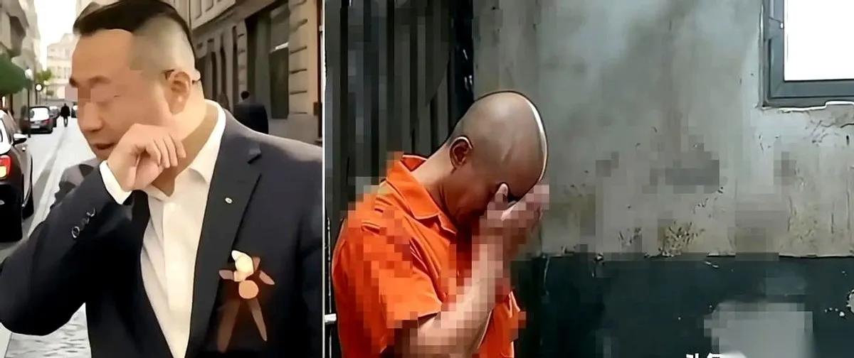 二审快来了，果然又开始折腾了。
听说老金毛又去找瑶家了，彻底慌了。
毕竟是自己的