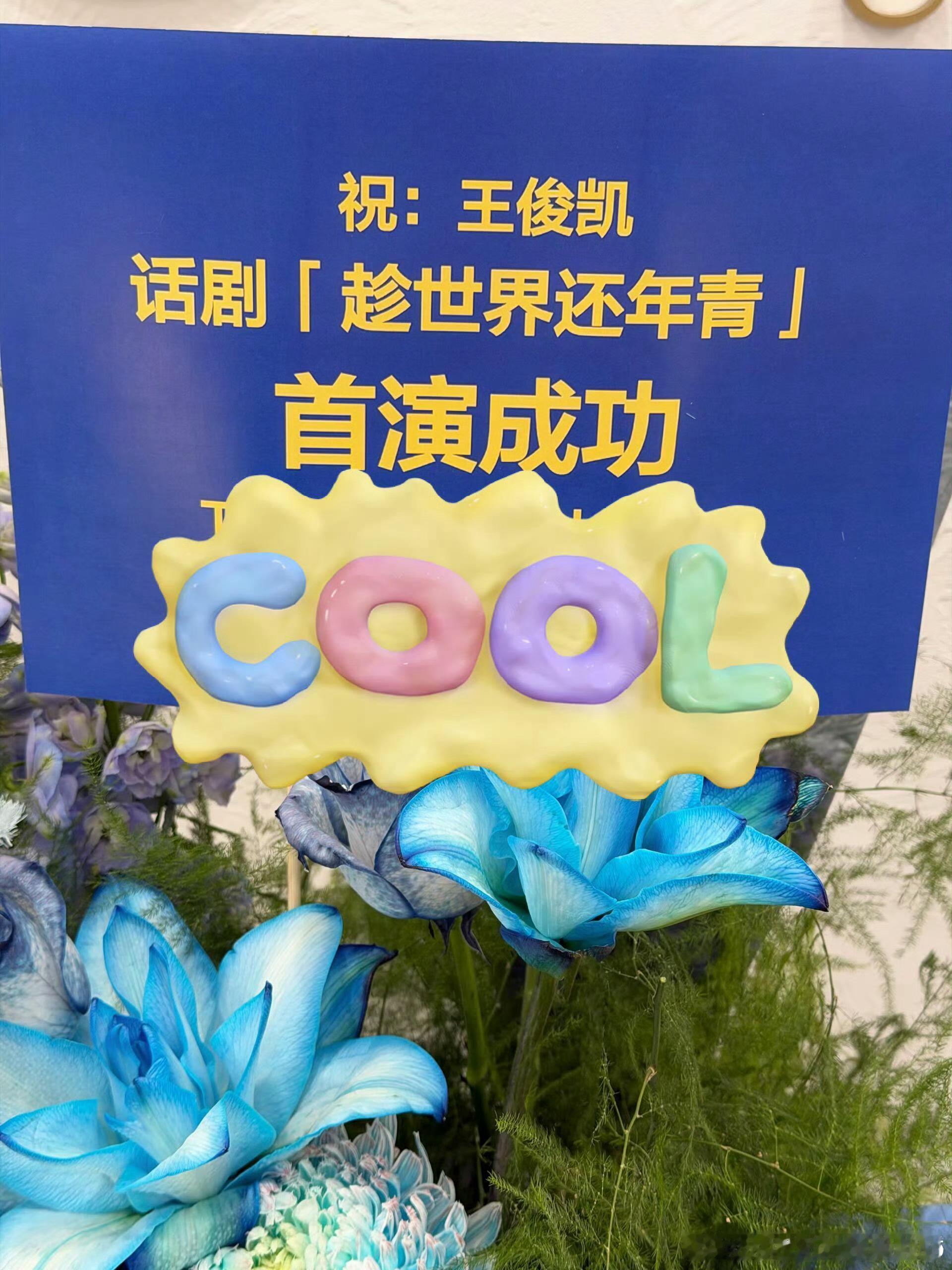 各大品牌和合作方都为王俊凯话剧《趁世界还年青》首秀送了花篮，祝小凯首演成功！ 