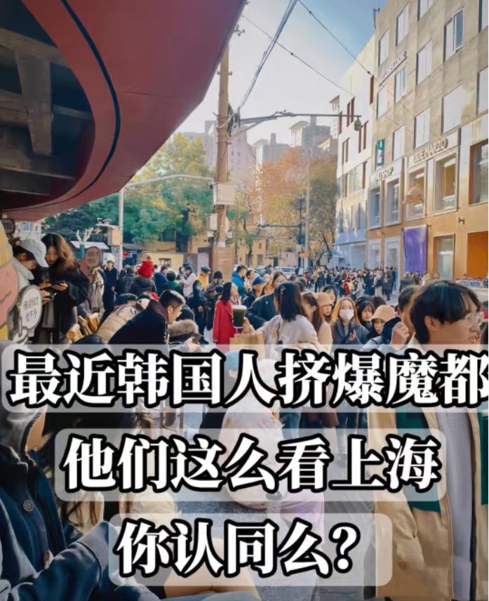 今年以来，
上海正以更开放的姿态拥抱世界。

前11个月，全市接待入境游客达82