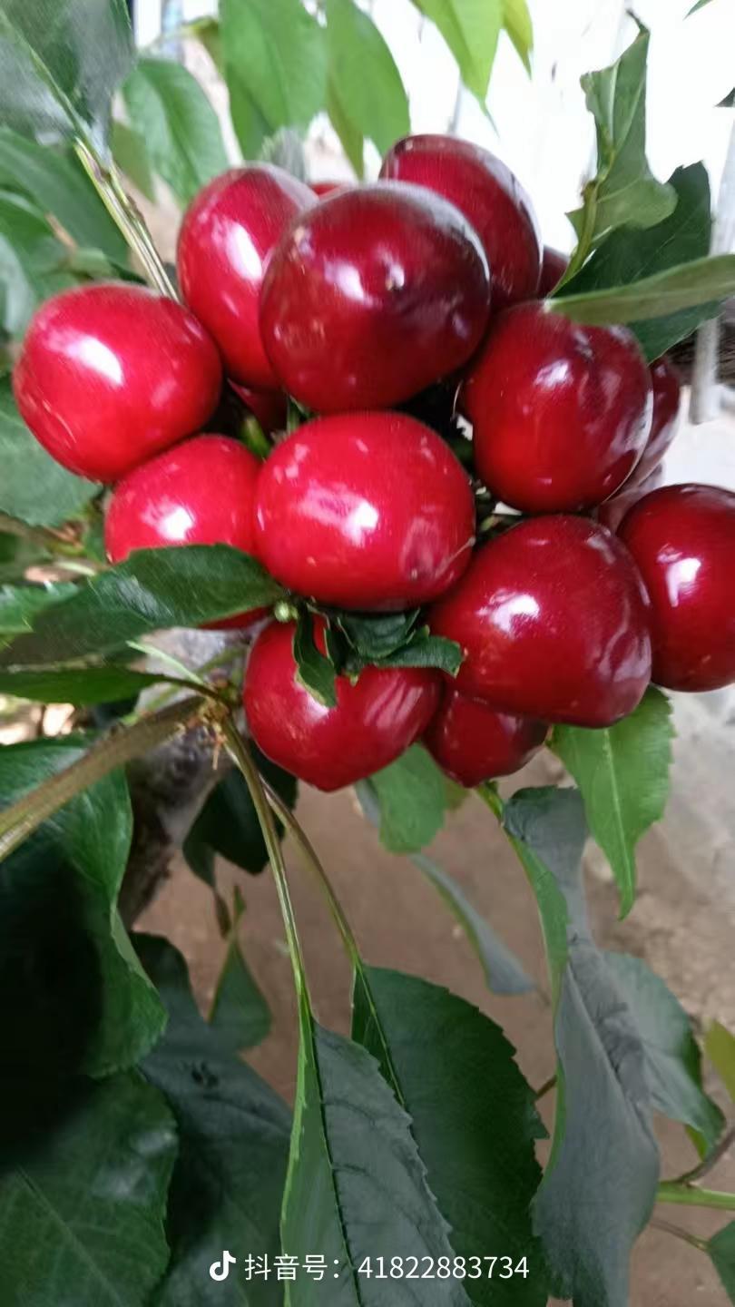 领导最先想踢走的，不是混日子的，而是这3种“太实在”的人
 
真的，别以为不干活