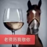 精神状态全世界倒数第一 