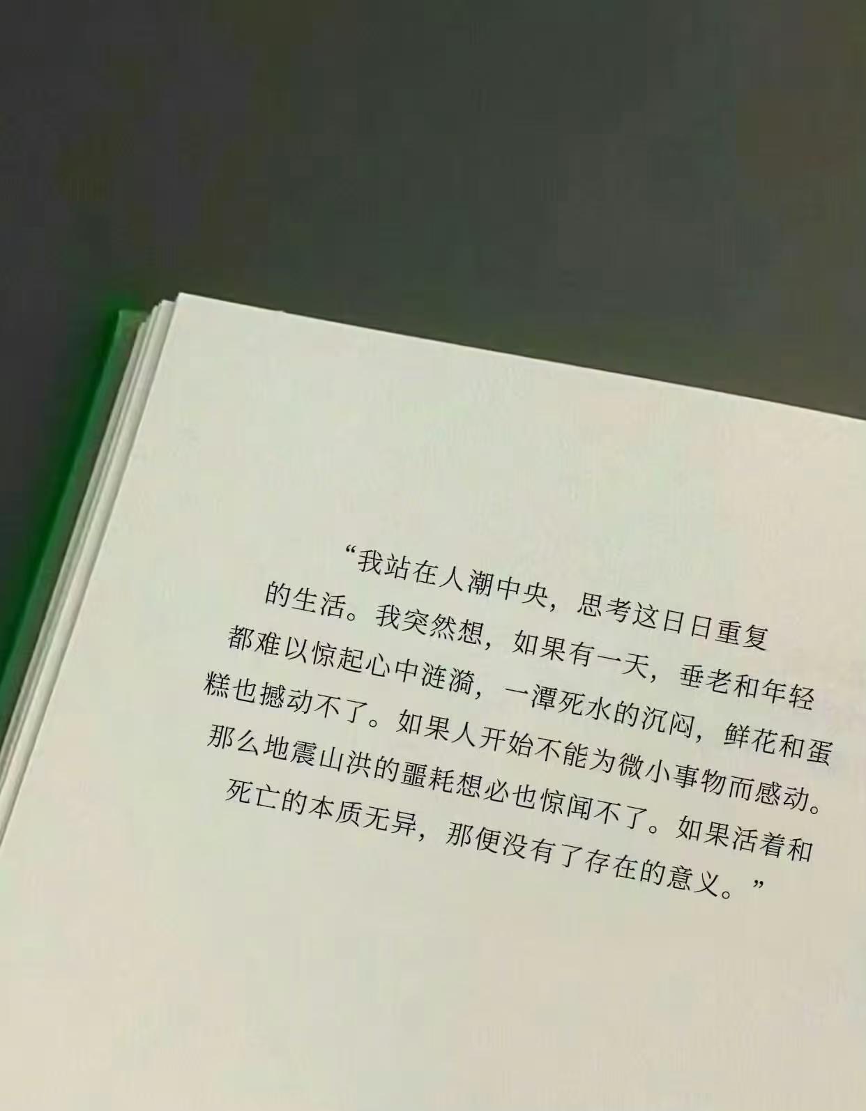 我站在人潮中央，思考这日日重复的生活。

这个问题本身，或许就是答案。正因为我们