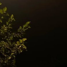 每日一善 每日一善不论大小。 