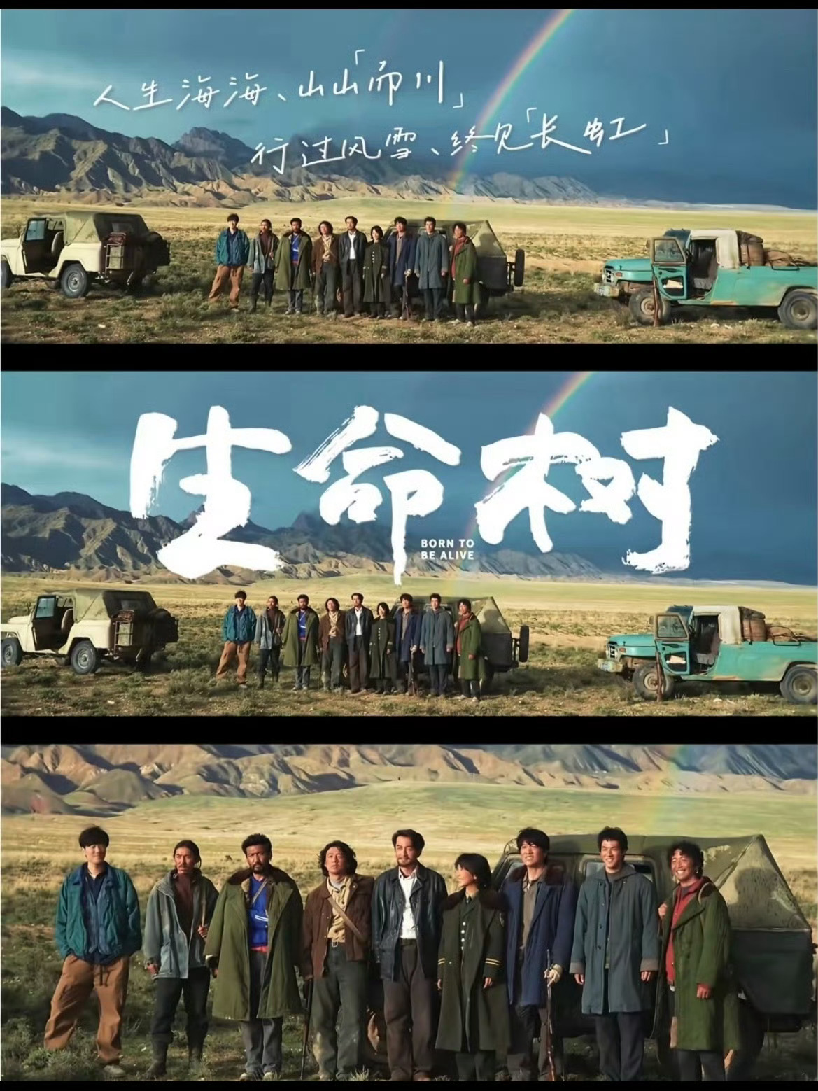白菊限定返场，杨紫重回《生命树》拍摄地青海，又走了一遍《生命树》里的老家和妈妈工
