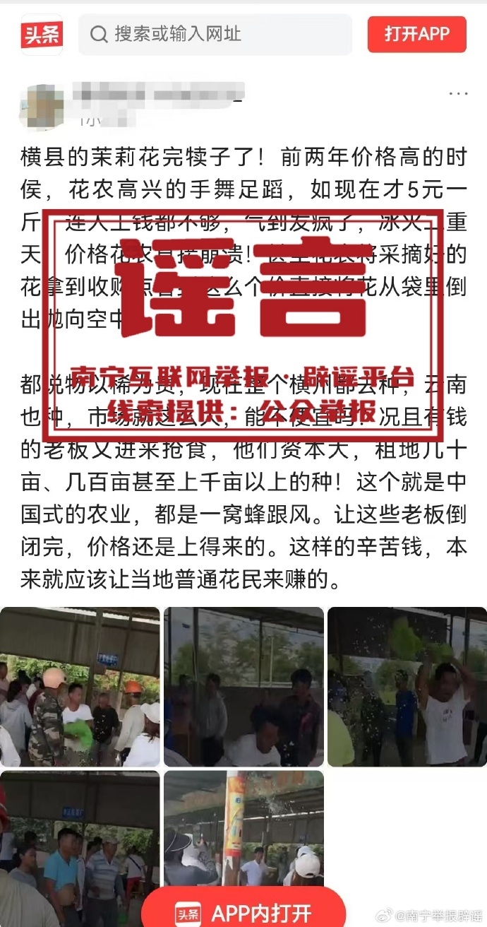 【#广西横州花农倒花不卖系谣言# 】#官方辟谣横州花农倒花不卖# 据目前，横州市