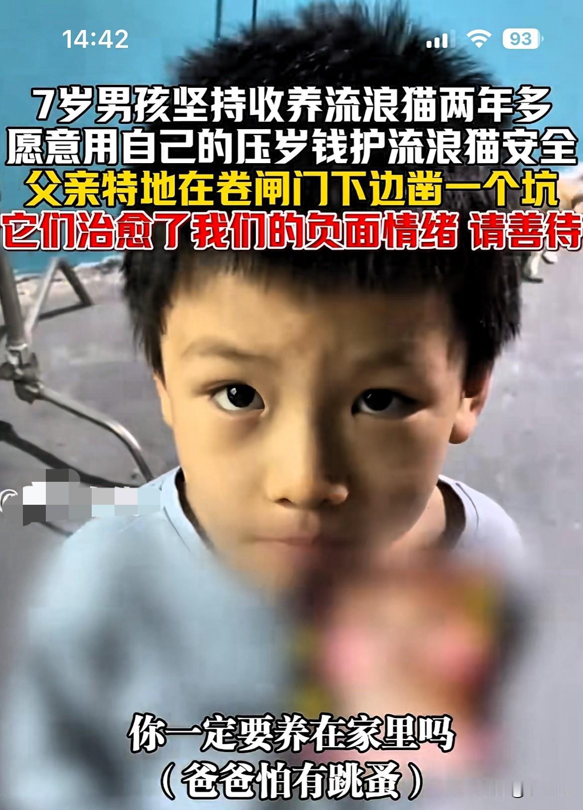 “太有爱心了！”湖南，一名7岁男孩，做了一件很多大人都没做到的事，拿出自己的压岁