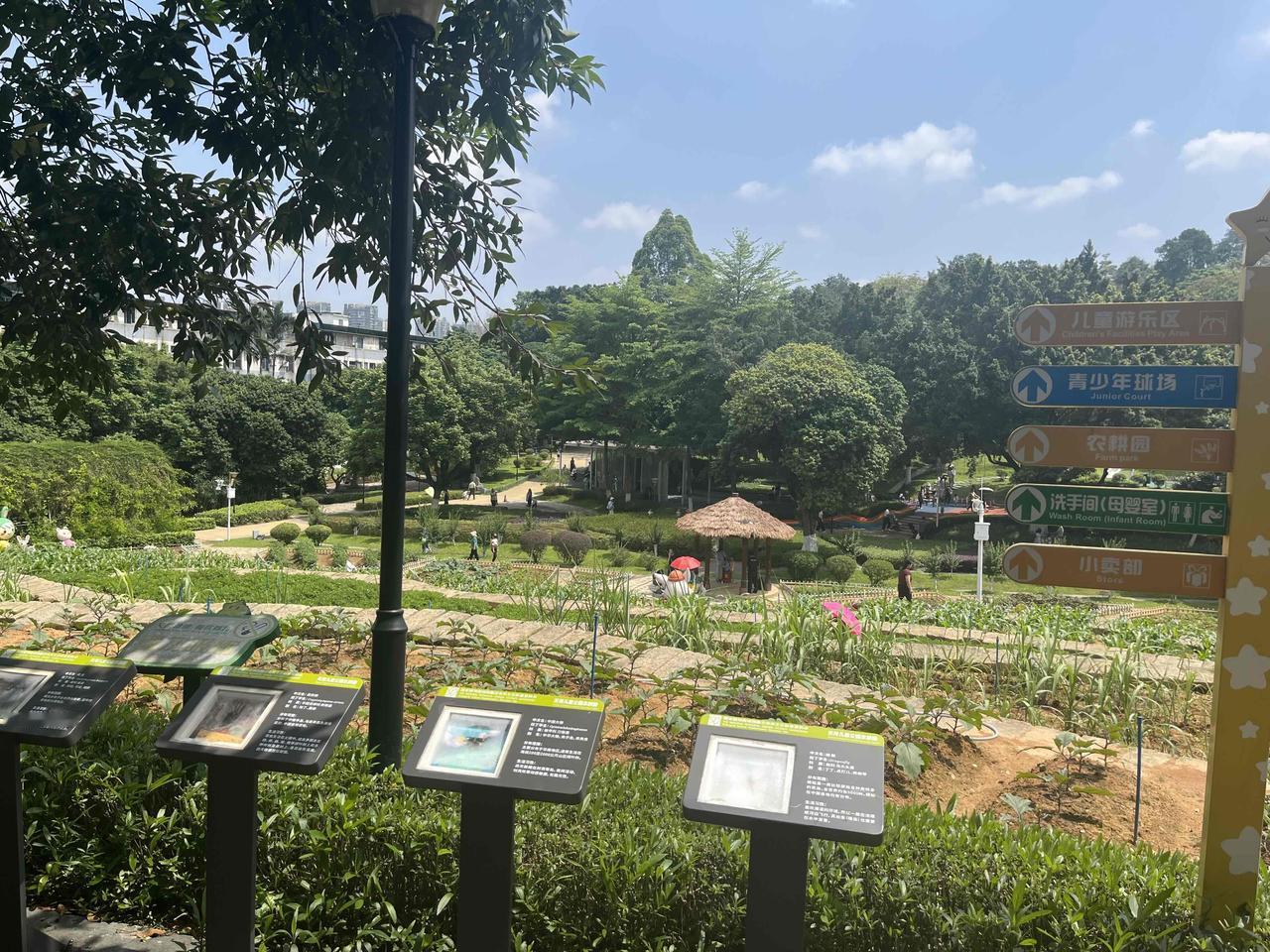 今日的天河儿童公园，风和日丽，实乃带娃的绝佳去处。园内满是小朋友和大朋友，大家尽