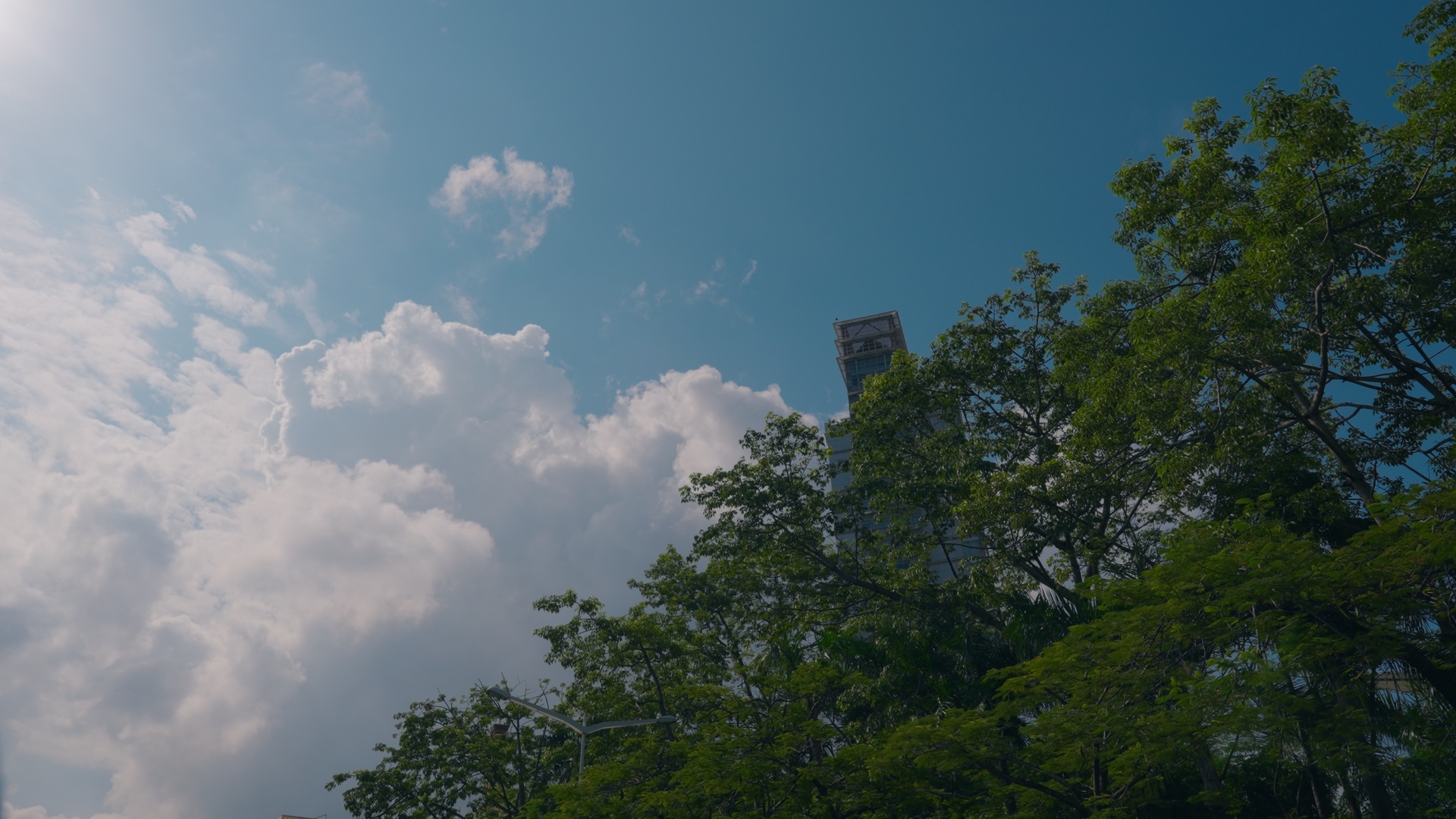 好多车anycarmini[超话]天气 昨天天气不错！ ​​​