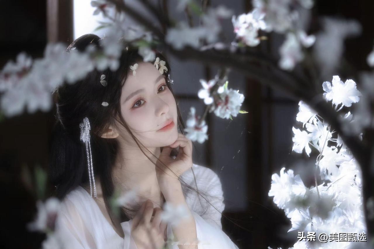 中式美轮美奂
