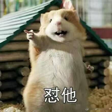 在前东家参与的第一次数据格纳时，team那边发ppt指摘，说我负责的中冷器，和其