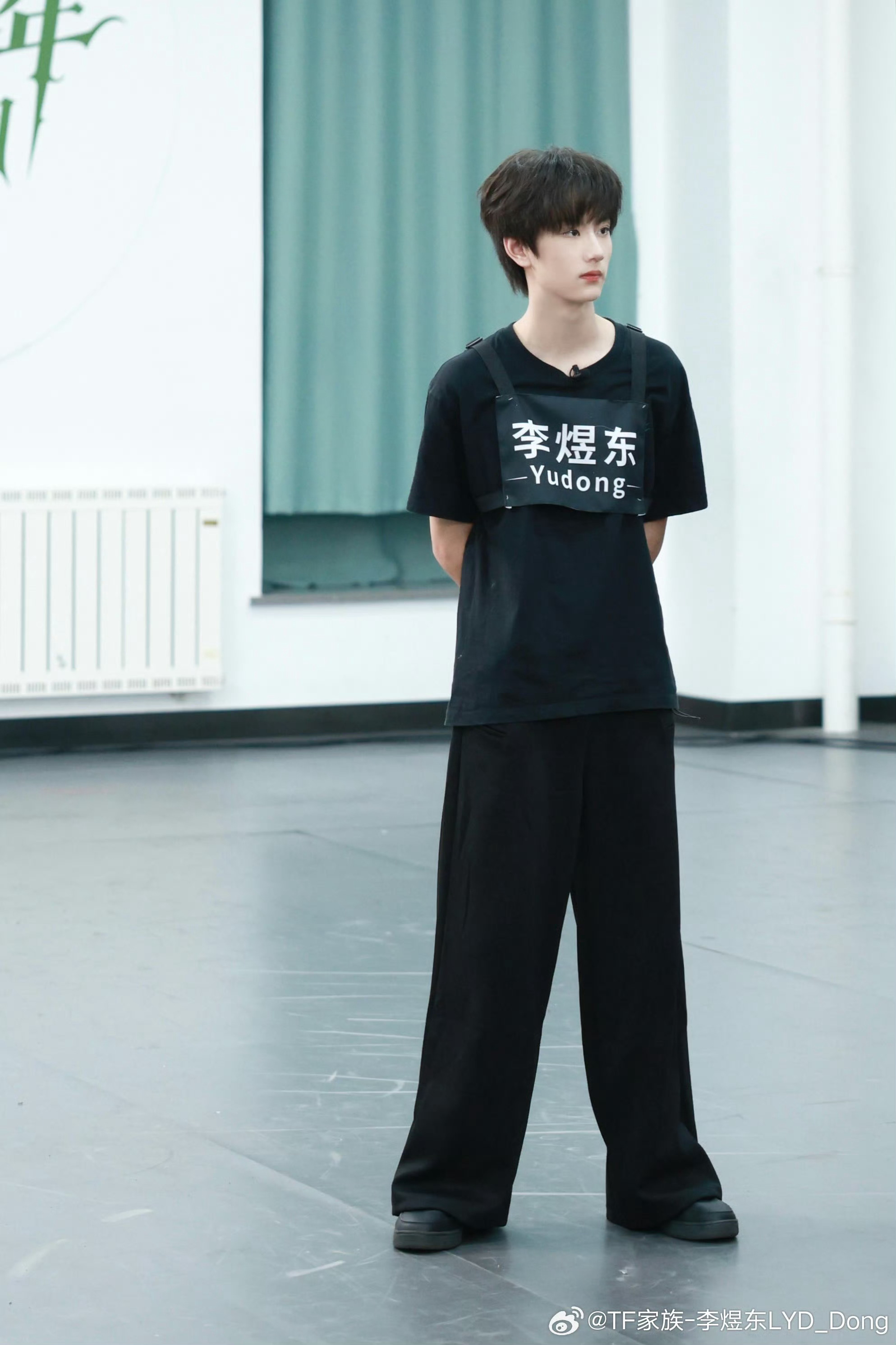 新粉刚入坑 有没有什么宝宝给我介绍一下这个是李煜东吗