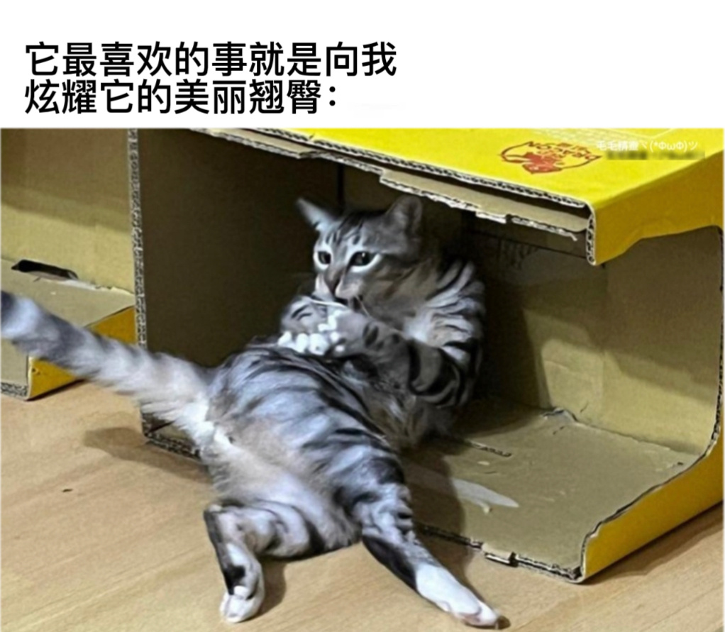 我拍拍#今日memes# //#我的幽默搭子# //#定格# ​​​