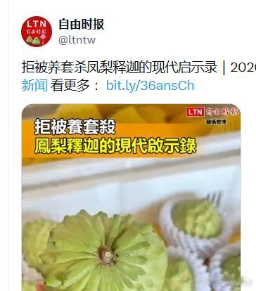 那你们自己赶紧吃，多吃点 