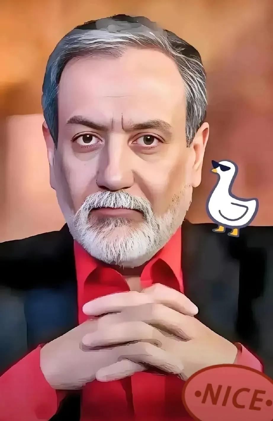 2026年4月25日，伊朗议会要员宣布一个大消息，伊朗外交部长阿拉格齐访问巴基斯