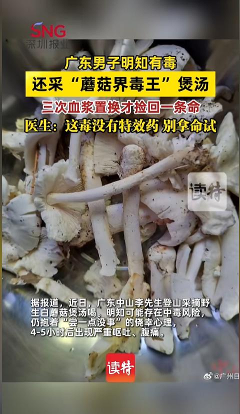“有毒还要吃？”近日，广东中山，一男子上山采野蘑菇，准备煲汤喝。他明明知道白色的