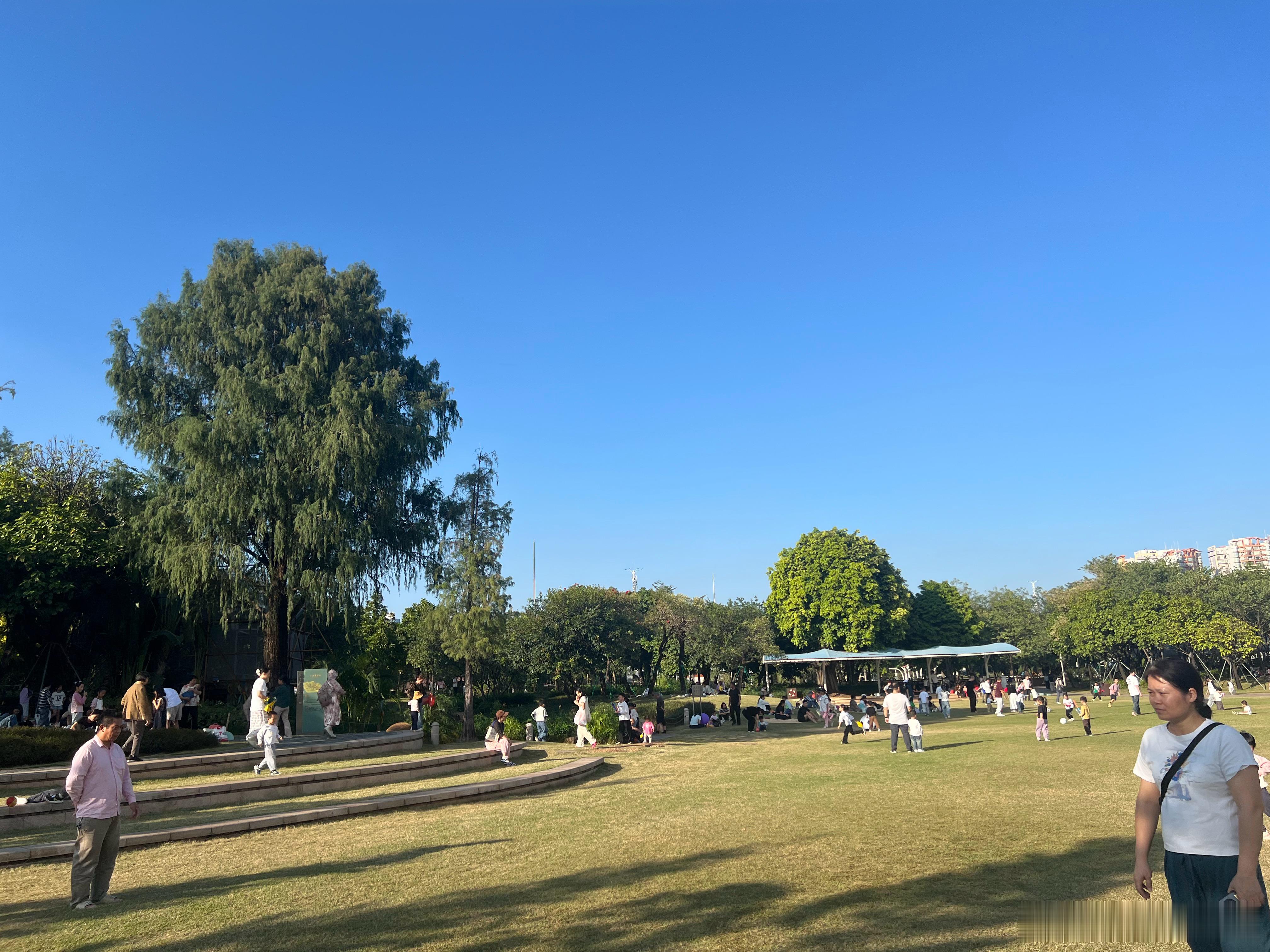 米米在玩飞飞机✈️～天空美得像一幅画