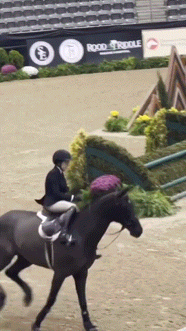 马术
据说是由贵族传出的一项优雅的运动
实在想不通这种“运动”的价值何在
而且看