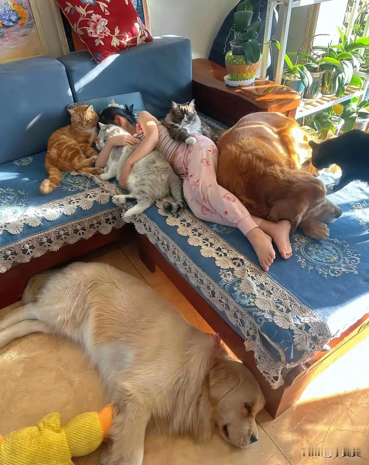 这大闺女，一大把年纪了没有男朋友是有原因的，整天和一些黄毛猫狗在一起混。能有男朋