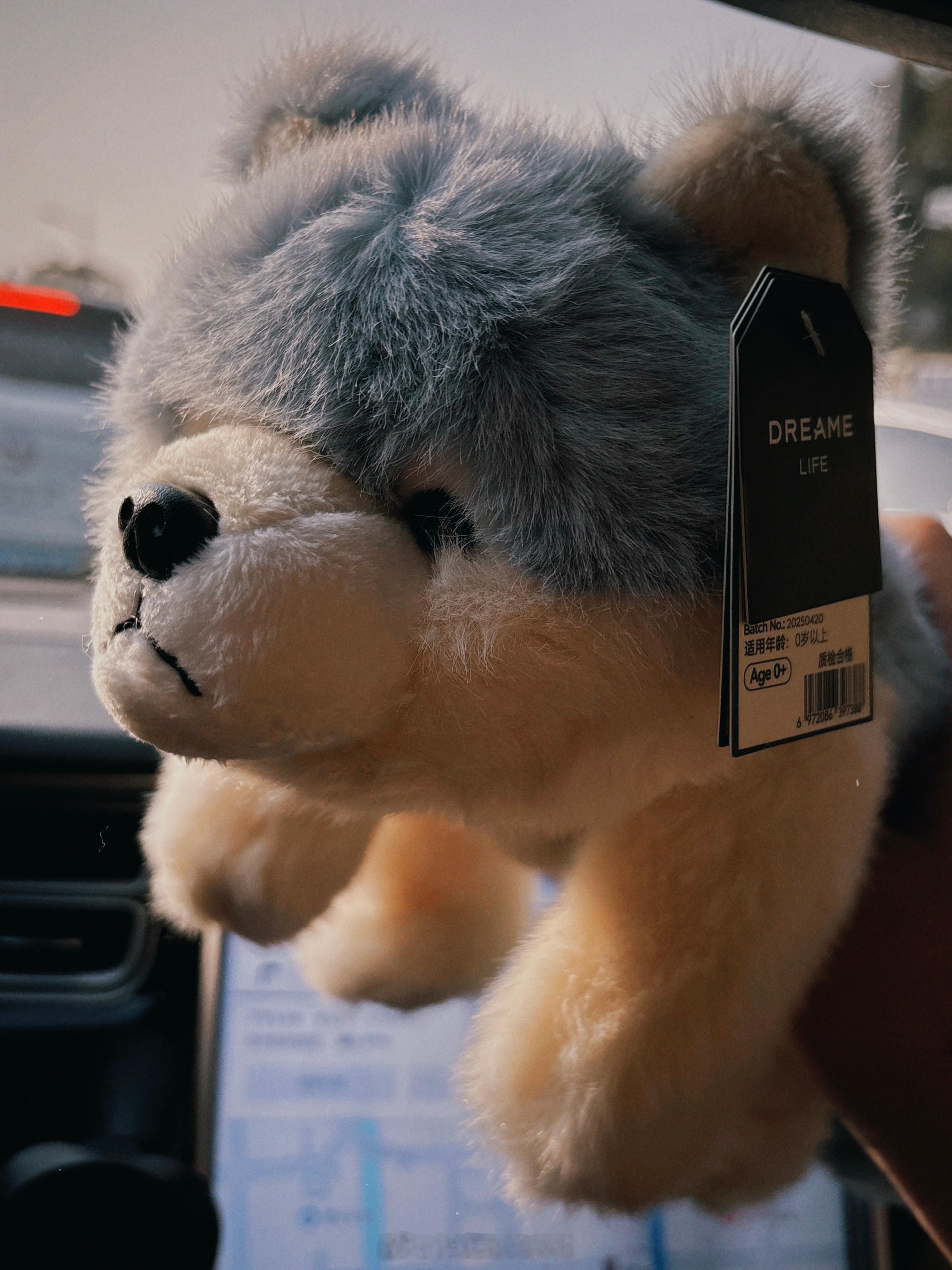 追觅这玩偶爱了回家把戴森和云鲸都换成追觅的开启追觅宇宙