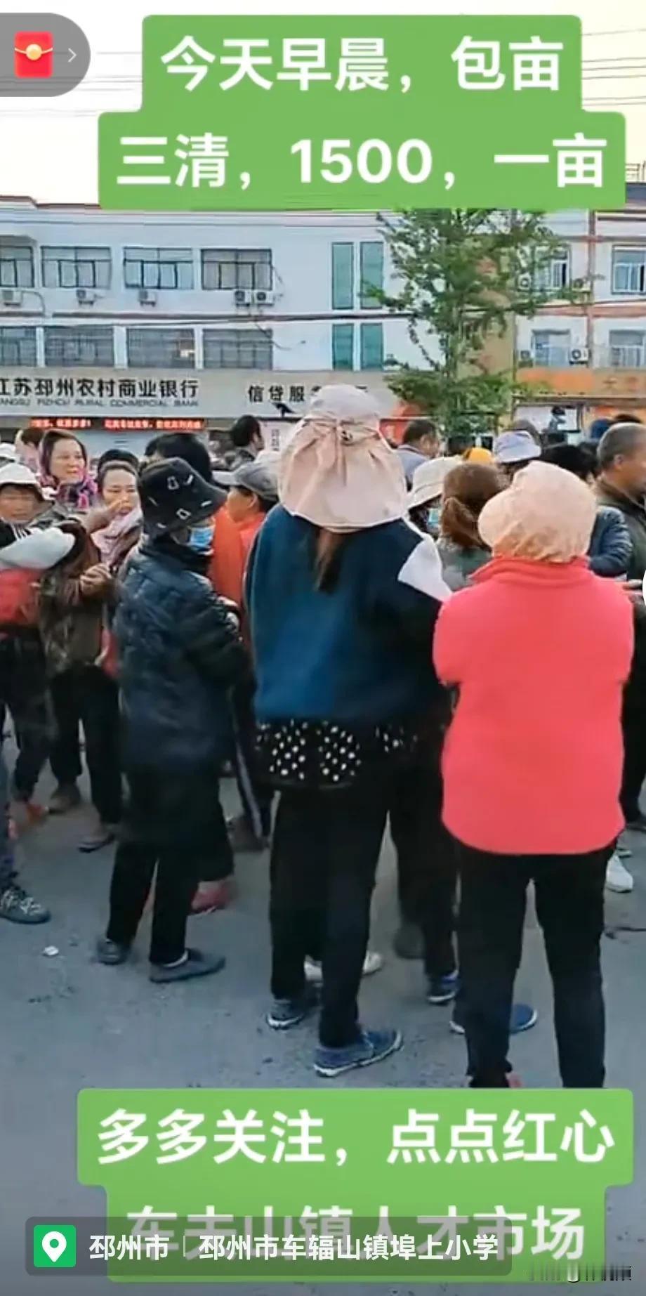 江苏邳州，大蒜收获在即，劳务市场起蒜找活干的工人人山人海，每年的工人起蒜价格都是