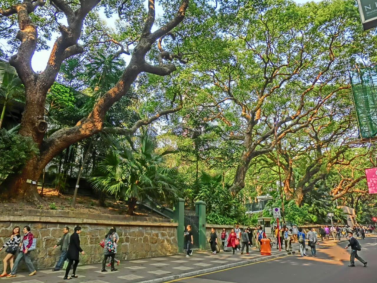五六十年代的尖沙咀海防道，当时这里是尖沙咀著名的贫民区。

这条街道命名于190