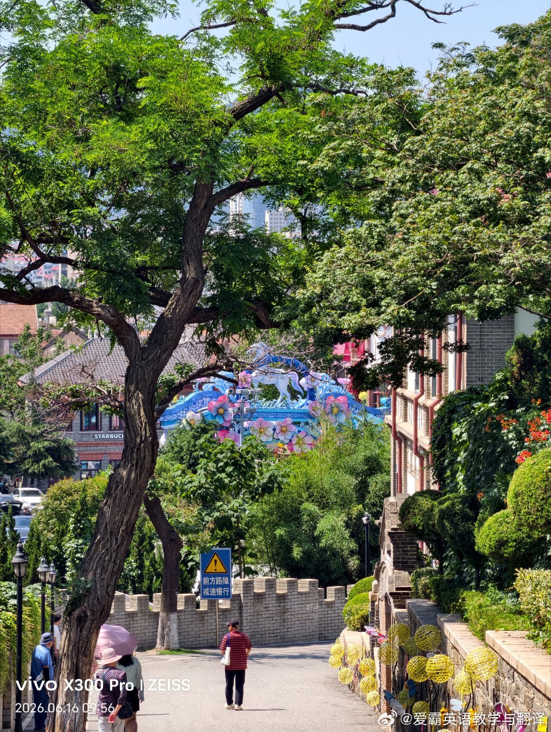 一睁眼，就掉进了夏日的绿海里～ 