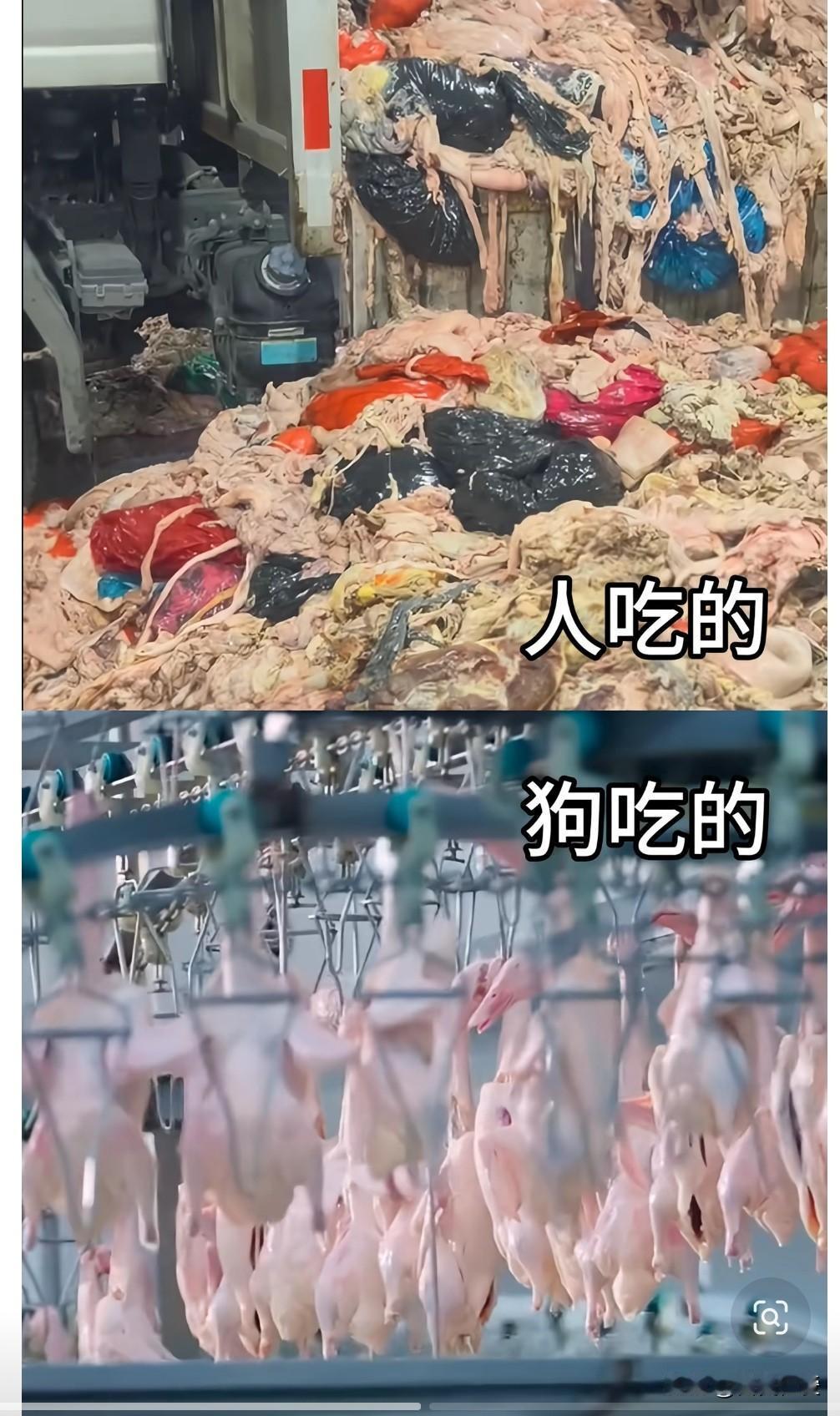 有点扎心的对比

有时候看着配料表，会生出一种哭笑不得的落差感。

我们随手买的