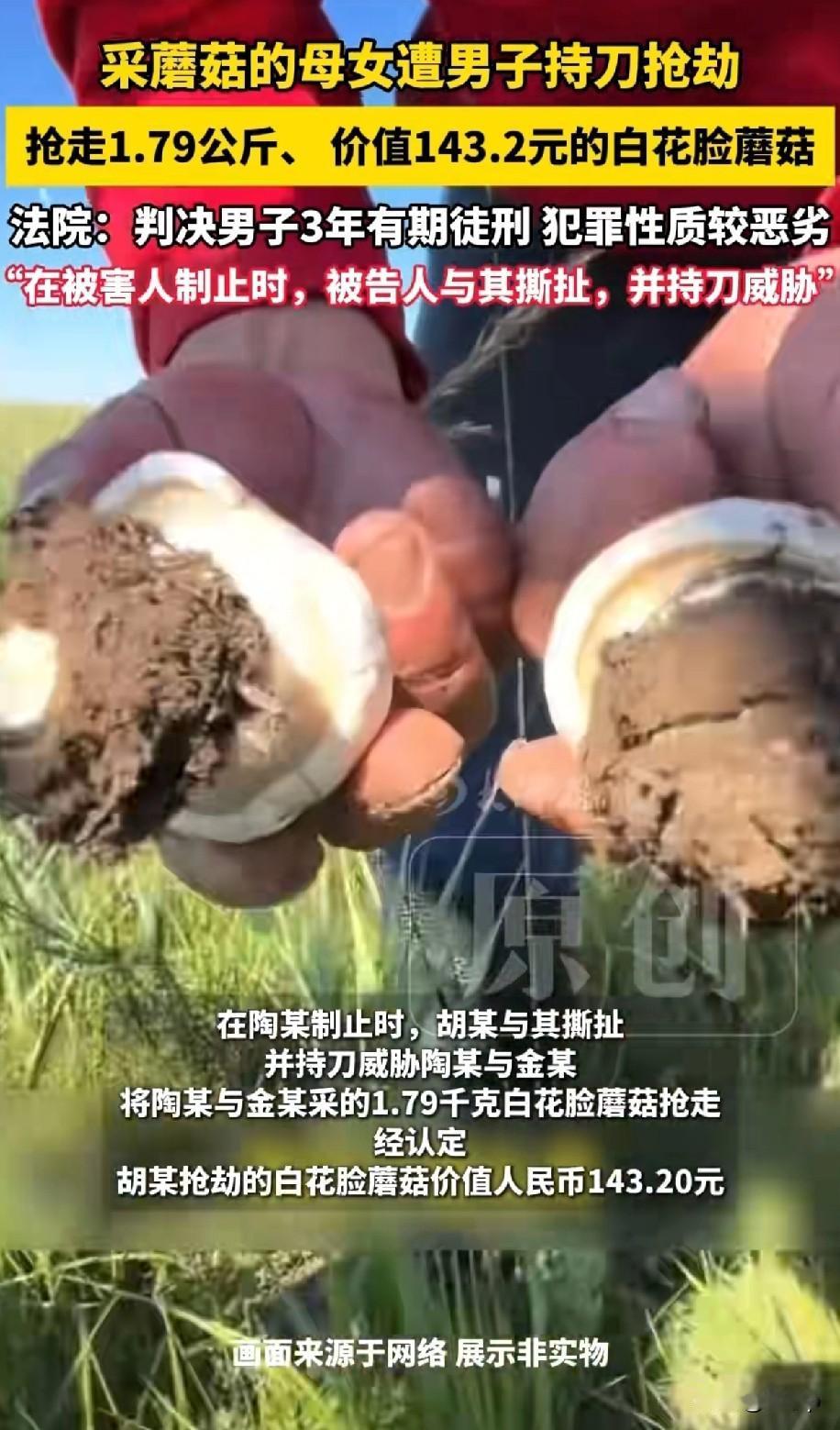 采蘑菇的母女遭男子持刀抢劫
抢走蘑菇1.79公斤，价值143块.2毛
最后法院判