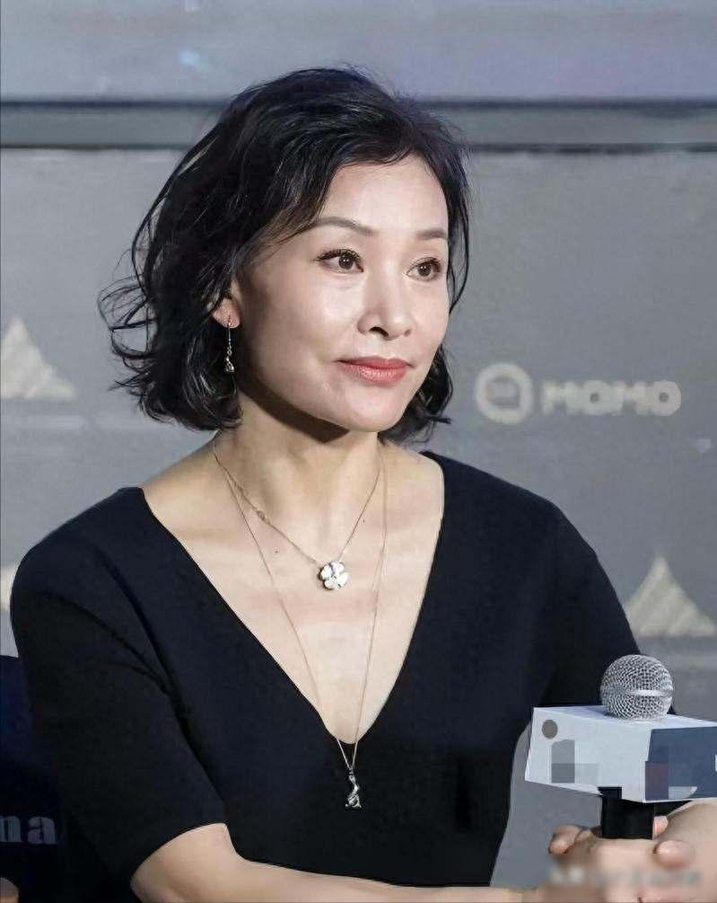 陈冲宣传新剧引关注，
领养双胞胎失踪近30年，
真相仍无音讯

6月18日那天，