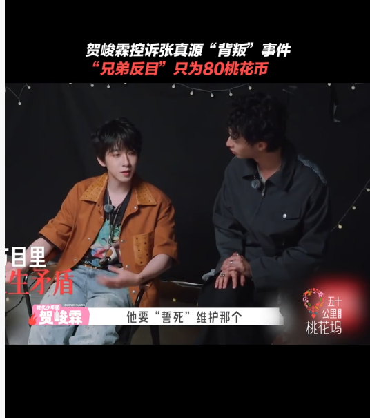 贺峻霖委屈巴巴 贺峻霖想靠讲述过往换取桃花币，和孟子义提起游戏里张真源的守护承诺