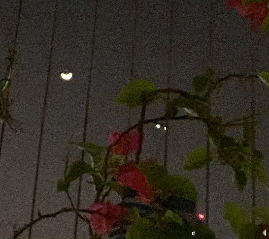 不要低头看一地鸡毛请抬头不要错过这月色 
