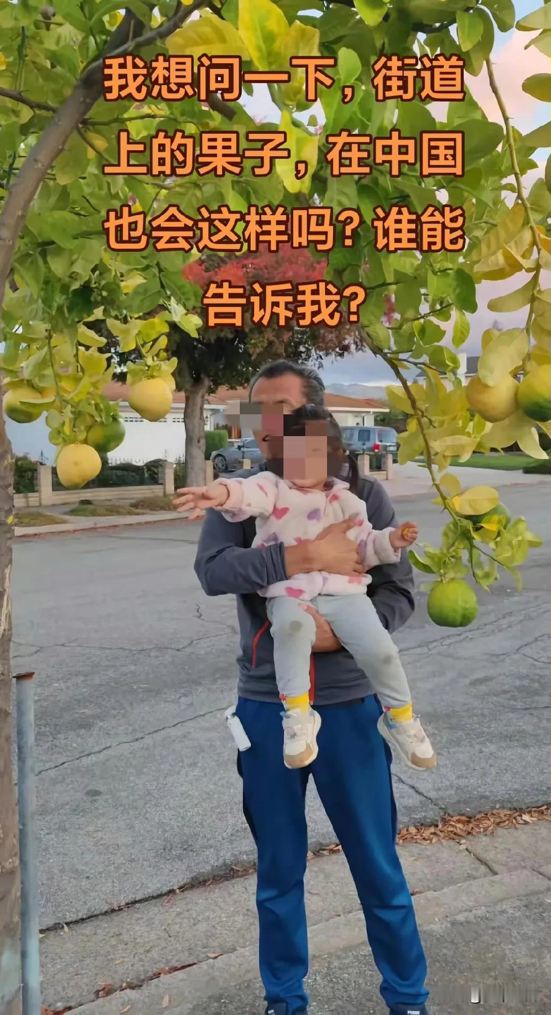 真的服了这些土殖，出个国到处磕头，看到国外街道的绿化树挂满水果，就阴阳怪气地问国