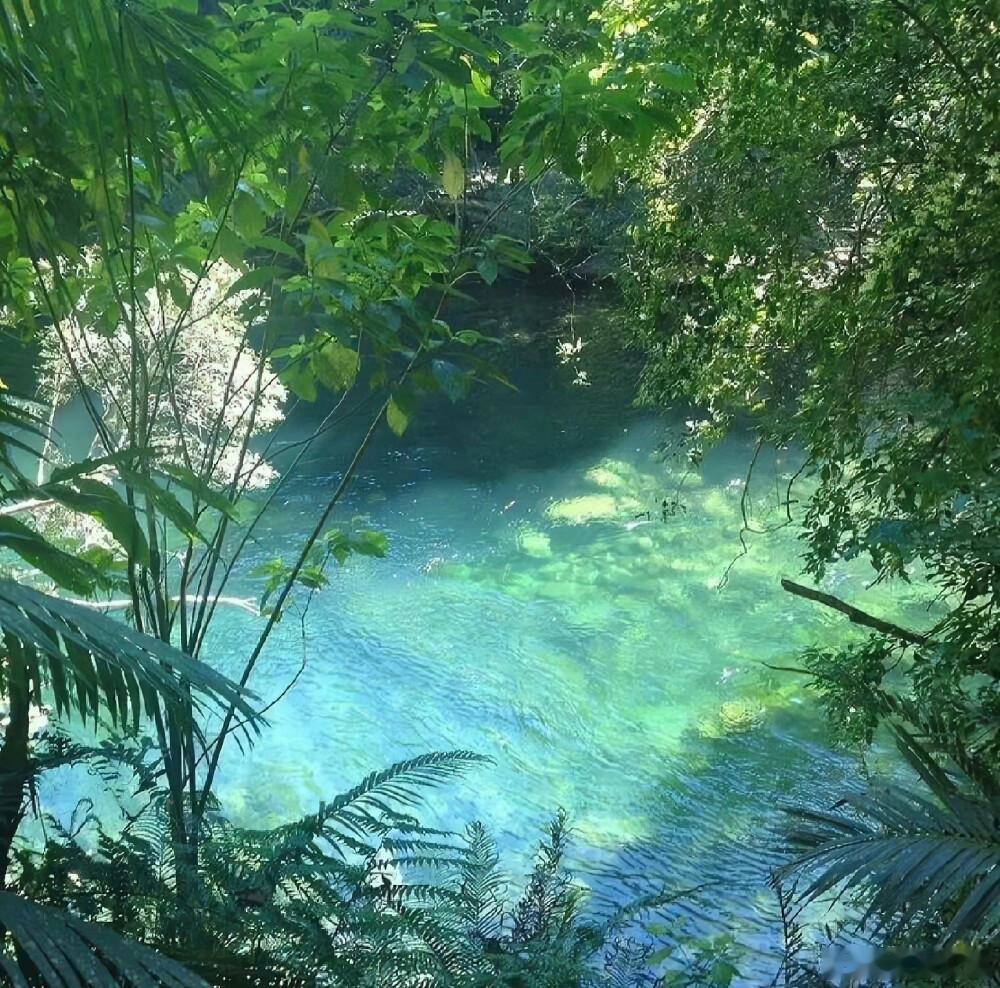 射手座骨子里住着个哲学家，总在思考人生的终极意义。现实再苟且，也浇灭不了TA心中