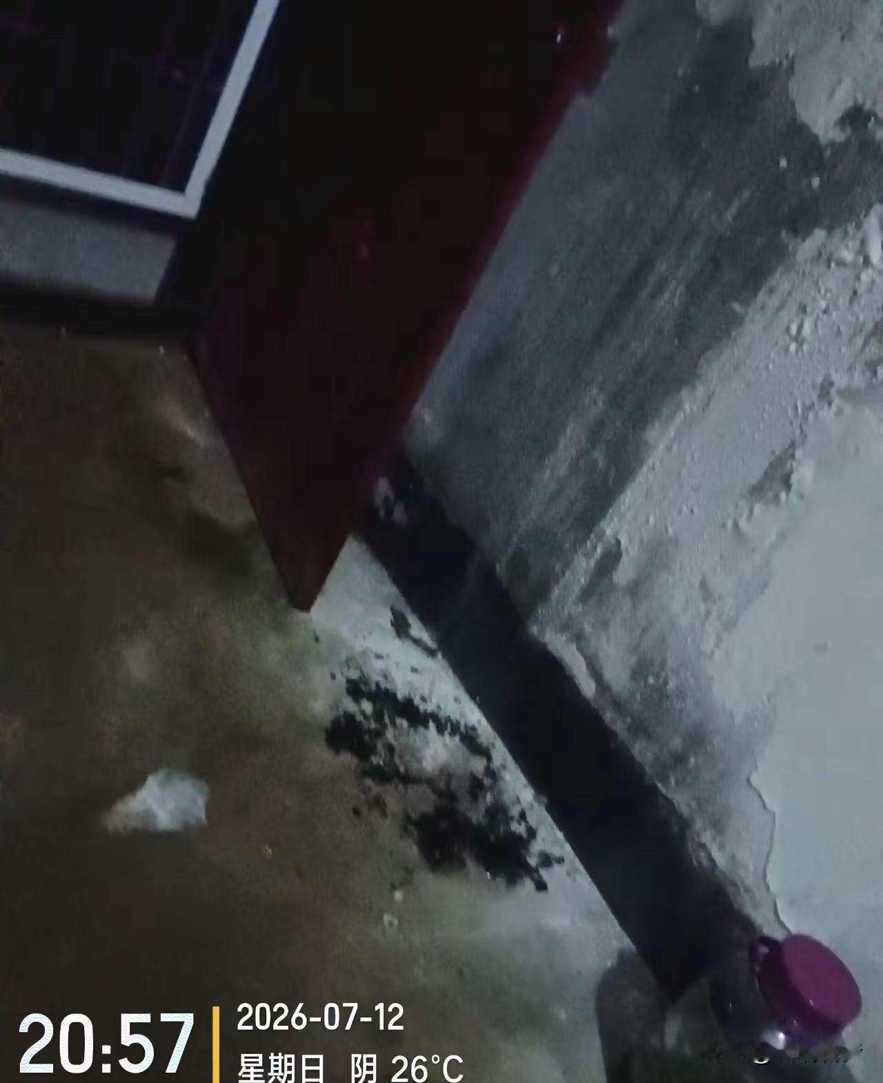 漏雨的屋子，听着就让人心头一紧。这年头，谁家还没个漏雨的地儿？可偏偏就是这么个老