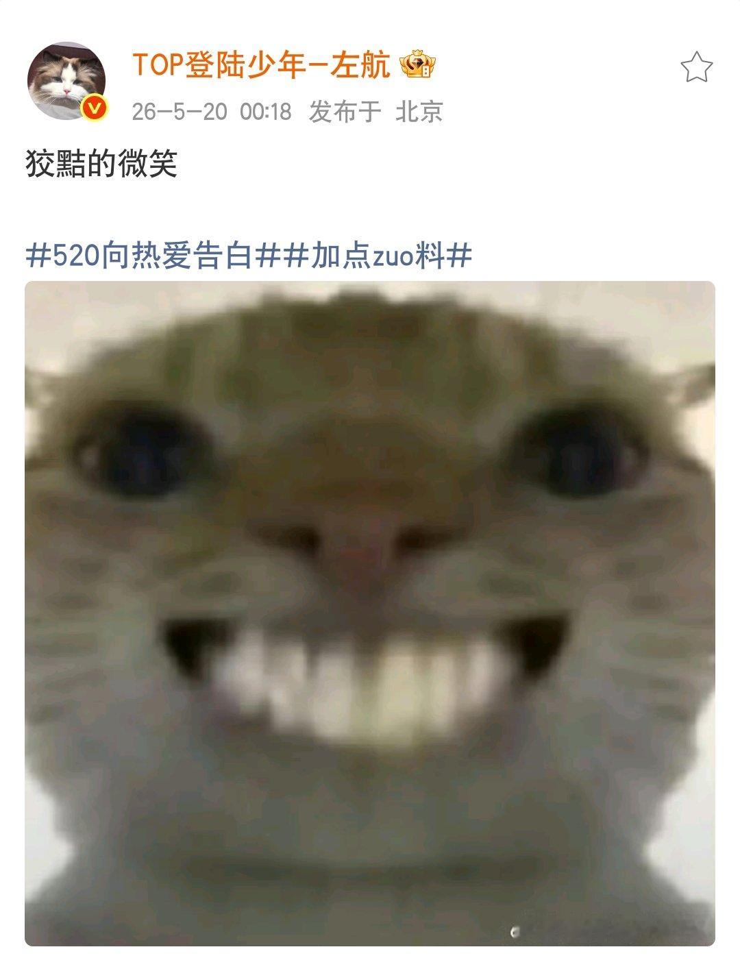 左航520自动回复情话左航520小猫表情包左航520带来了一个狡黠的笑，附赠小猫
