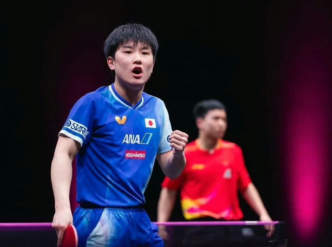 向鹏多哈一轮游，再次输给张本智和！同为03年为何差距如此大？

2026年WTT