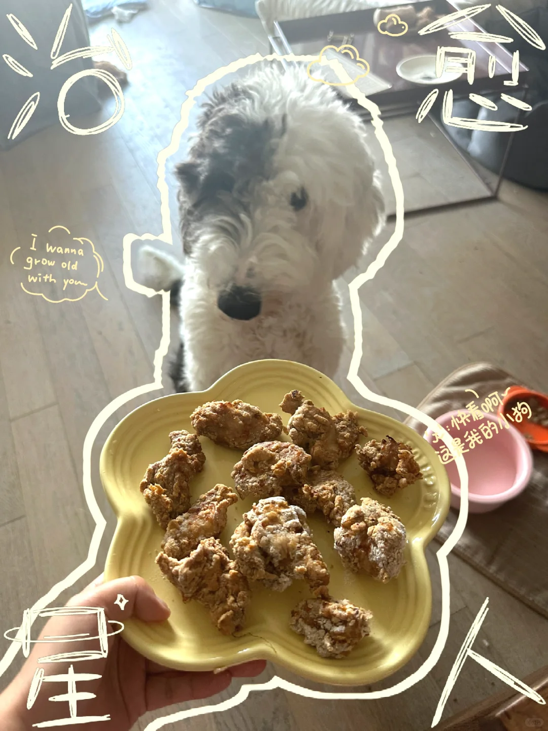 求问在线等！人吃了狗饭会变成狗吗？？？