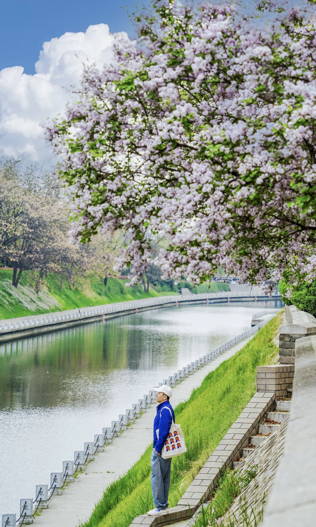 西安小众人少赏花路线🌸城墙下绿色能量场❗️
